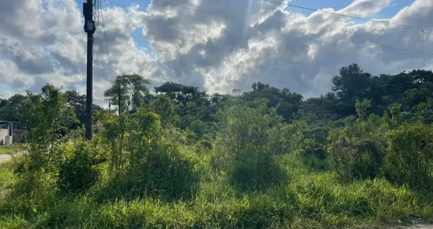 Terreno à venda no Parque Vergara, Itanhaém