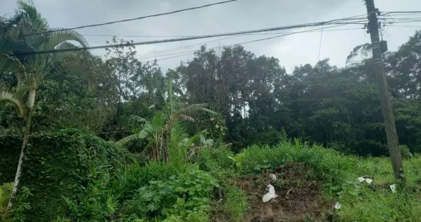 Terreno à venda no Jardim Umuarama, Itanhaém