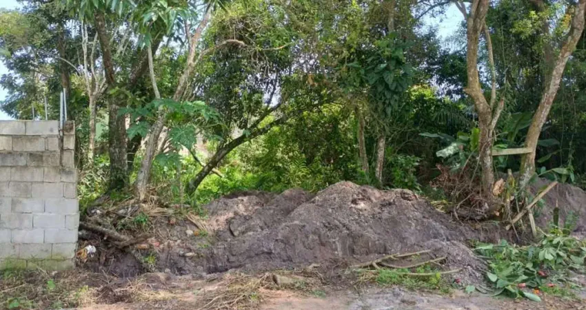 Terreno à venda no Jardim das Palmeiras, Itanhaém