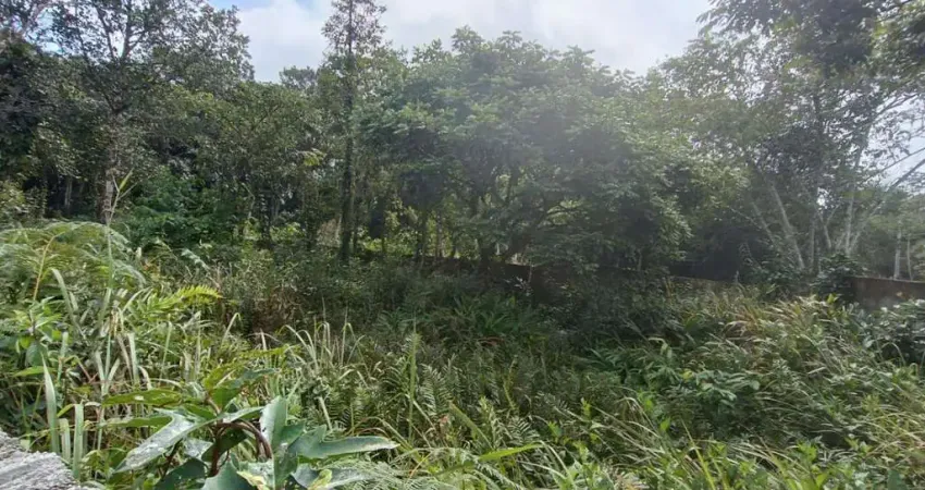 Terreno à venda em Balneário Marambaia, Itanhaém 