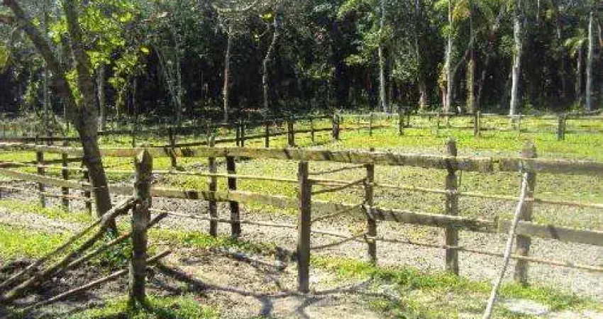Chácara para venda em itanhaém, coronel, 1 dormitório, 1 banheiro
