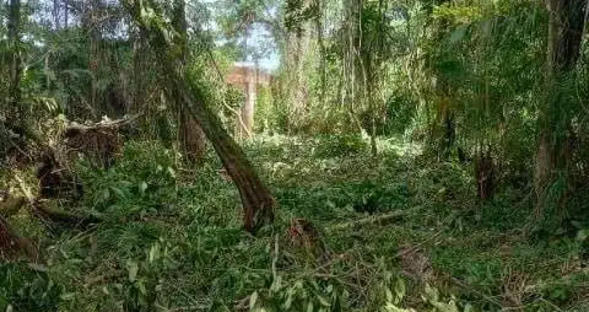 Terreno à venda na Rua Flácides Ferreira, 796, Suarão, Itanhaém