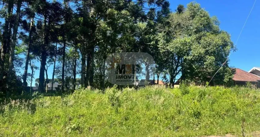 Terreno à venda em Juriti, Nova Petrópolis
