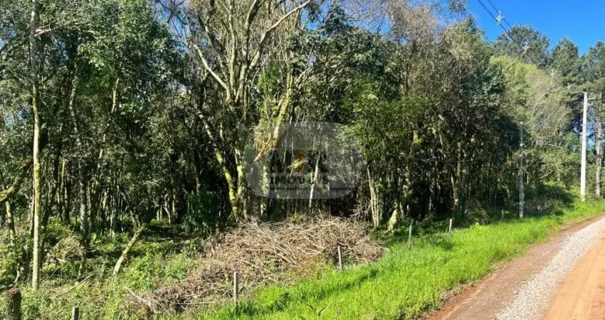 Terreno à venda na Rua Anotnio Schoeler, Nove Colônias, Nova Petrópolis