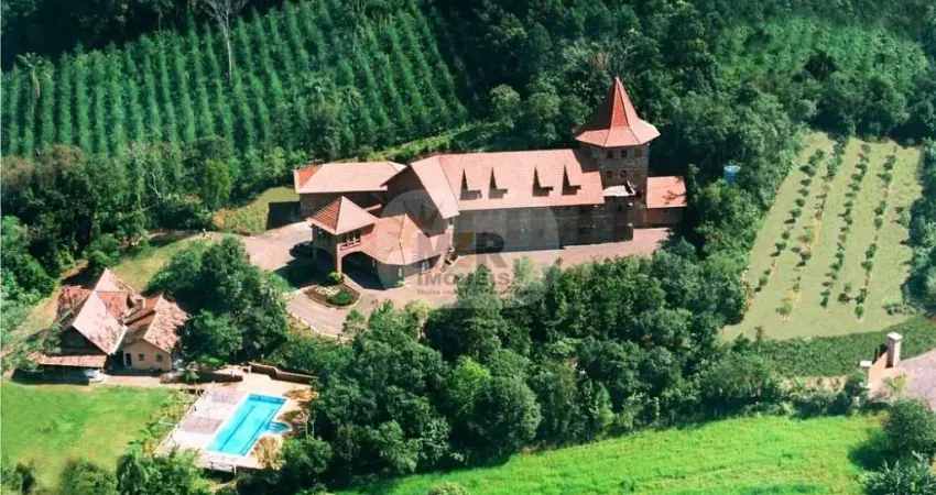 Apartamento com 30 quartos para alugar na Av, Nova Vila, Ivoti