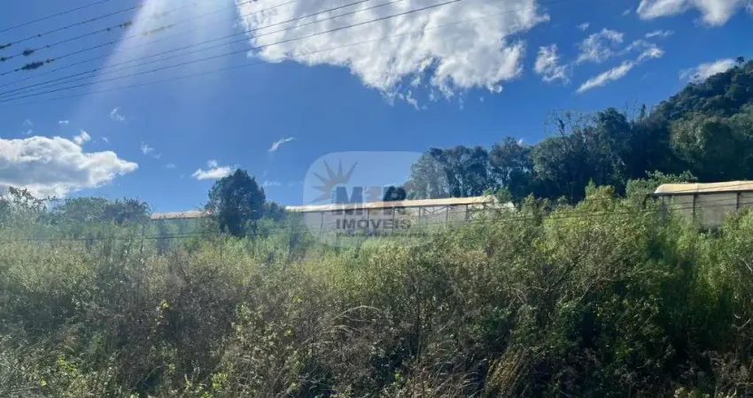 Terreno à venda no Pinhal Alto, Nova Petrópolis