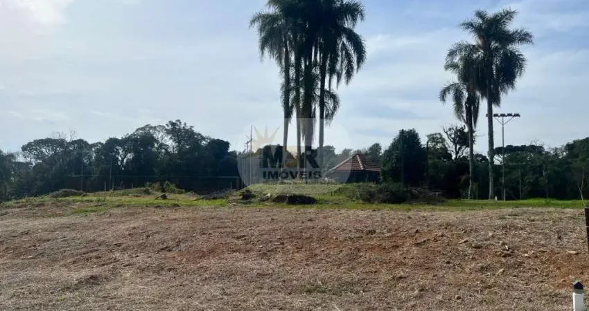 Terreno à venda no Logradouro, Nova Petrópolis