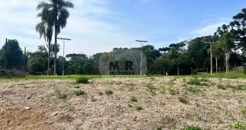 Terreno à venda no Logradouro, Nova Petrópolis