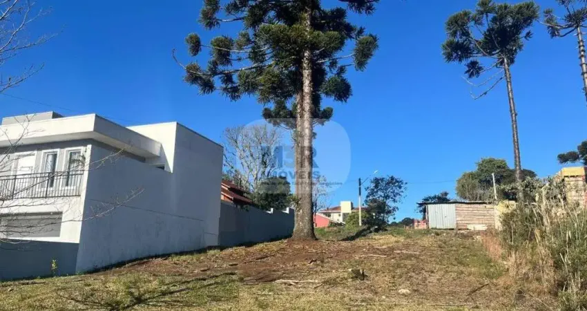 Terreno à venda no Linha Imperial, Nova Petrópolis