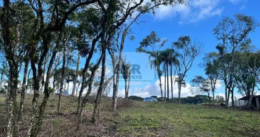 Terreno à venda na Vila Germania, Nova Petrópolis
