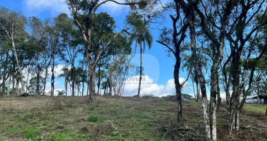 Terreno à venda na Vila Germania, Nova Petrópolis 