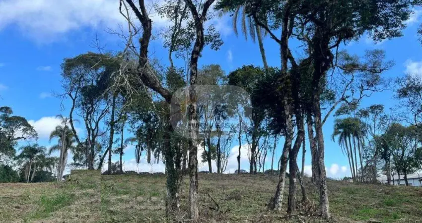 Terreno à venda na Vila Germania, Nova Petrópolis
