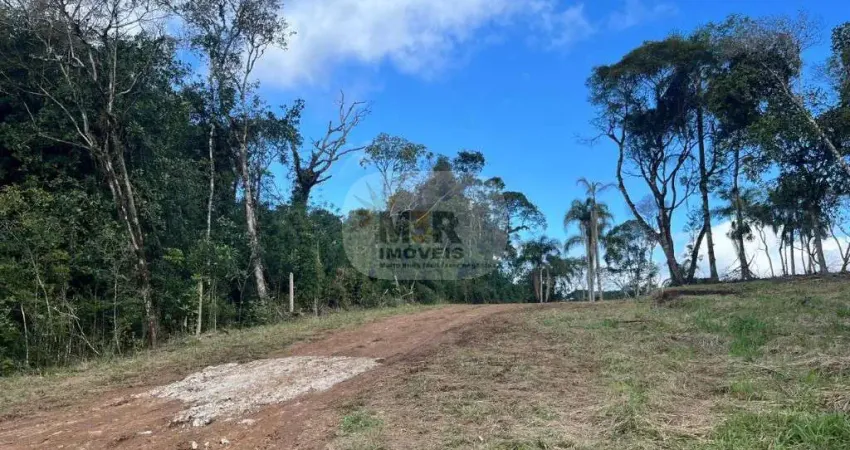 Terreno comercial à venda na Estrada Geral da Fazenda Pirajá, Vila Germania, Nova Petrópolis