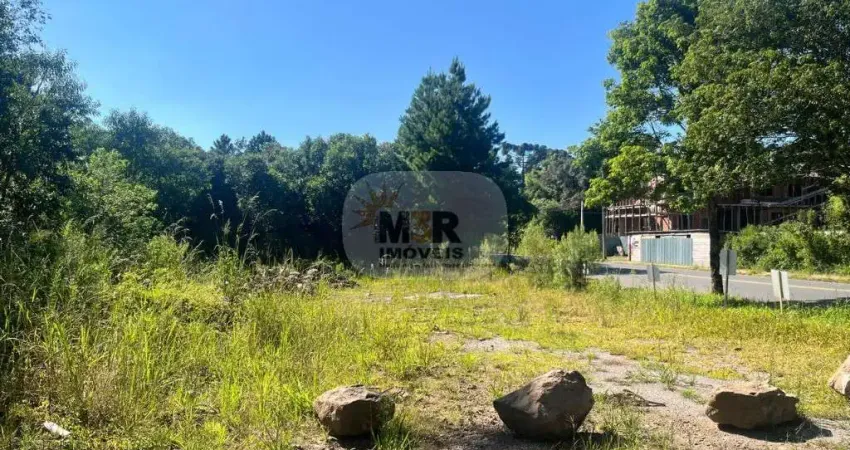 Terreno à venda na Vila Germania, Nova Petrópolis