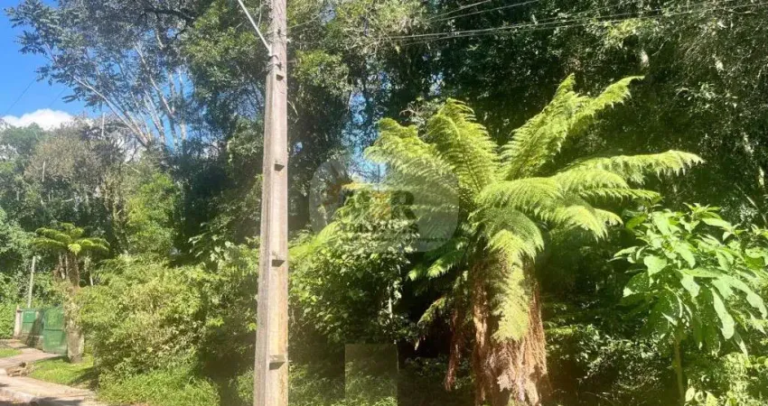 Terreno à venda no Alpes Verdes, Canela 