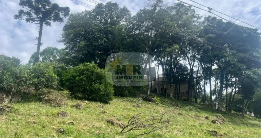 Terreno à venda no Pinhal Alto, Nova Petrópolis 