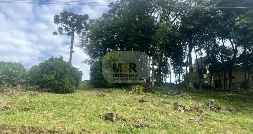 Terreno à venda no Pinhal Alto, Nova Petrópolis