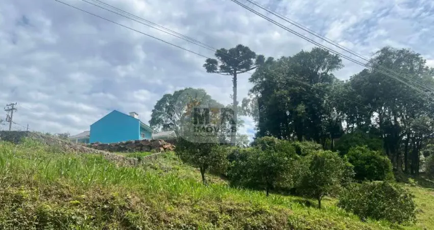 Terreno à venda no Pinhal Alto, Nova Petrópolis