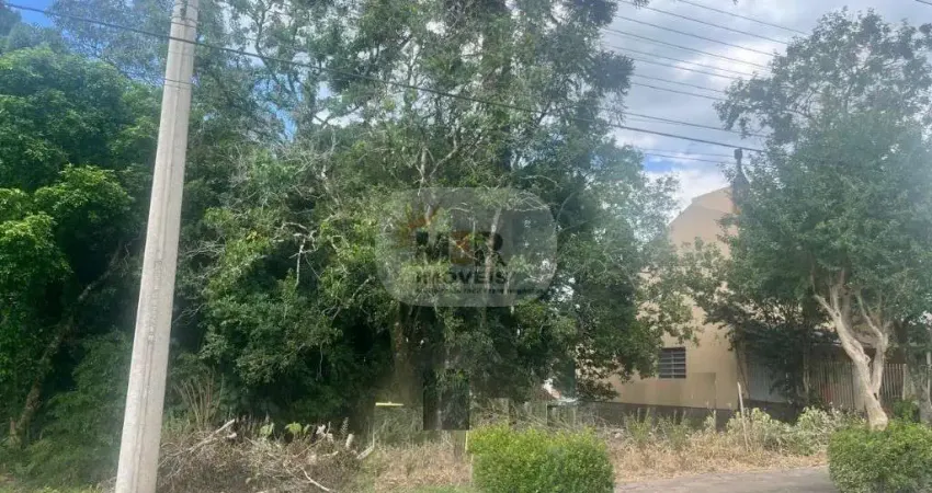 Terreno à venda no Logradouro, Nova Petrópolis 