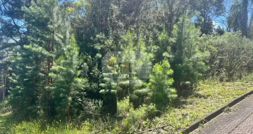 Terreno à venda no Linha Imperial, Nova Petrópolis