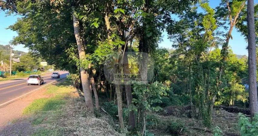 Terreno comercial à venda na Av. 15 de novembro, 4515, Piá, Nova Petrópolis