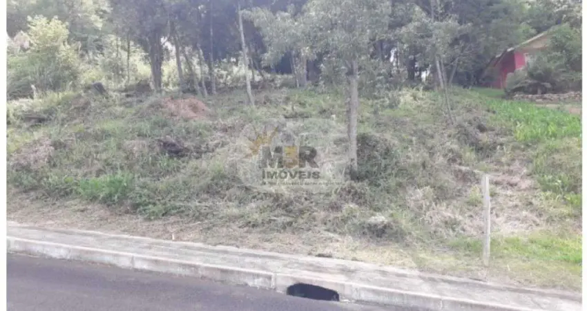 Terreno à venda na Rua Francisca Bezzi Casagrande, Várzea Grande 1º de Maio, Gramado