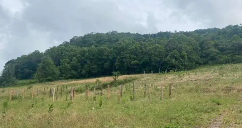 Terreno à venda no Linha Imperial, Nova Petrópolis
