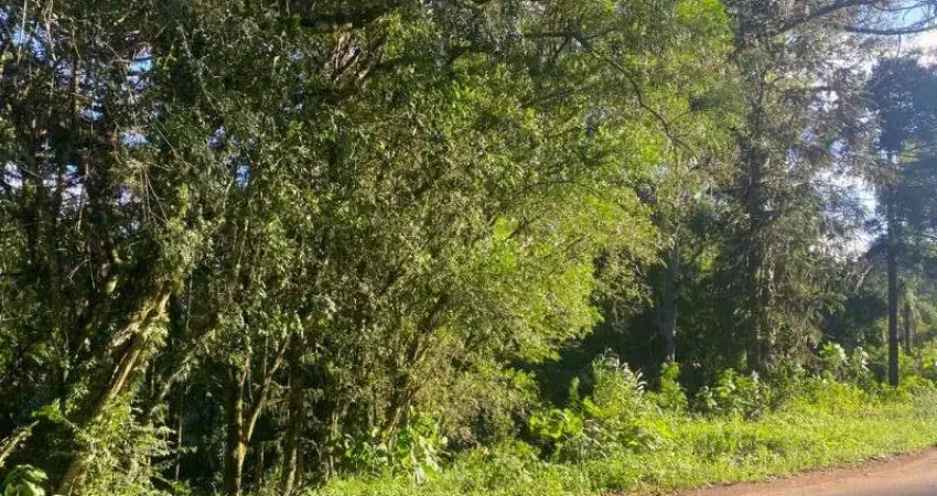 Terreno à venda no Linha Brasil, Nova Petrópolis