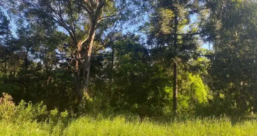Terreno à venda no Linha Brasil, Nova Petrópolis