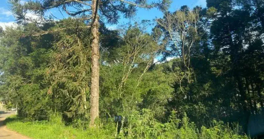 Terreno à venda no Linha Brasil, Nova Petrópolis