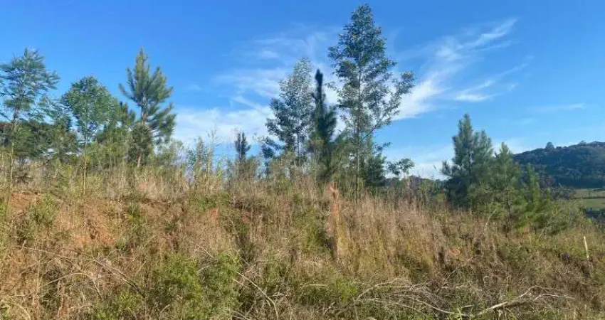 Terreno à venda no Linha Brasil, Nova Petrópolis