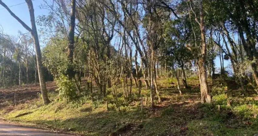Terreno à venda na Vila Germania, Nova Petrópolis