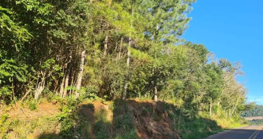 Terreno à venda no Linha Temerária, Nova Petrópolis