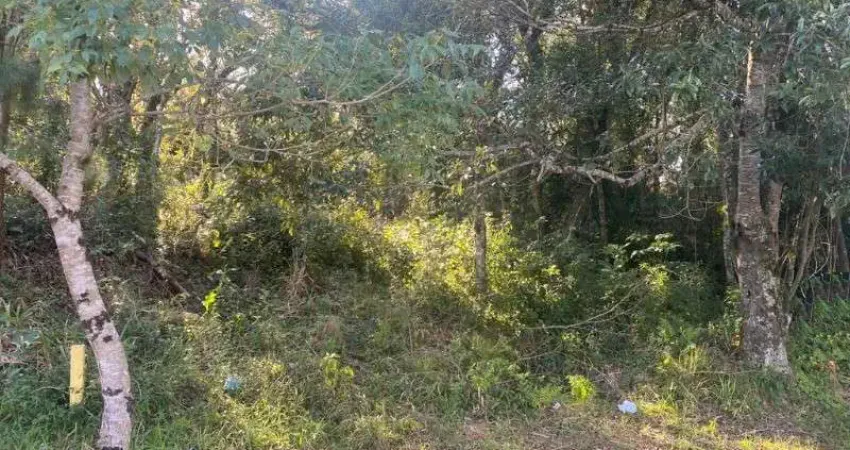 Terreno à venda na Vila Germania, Nova Petrópolis