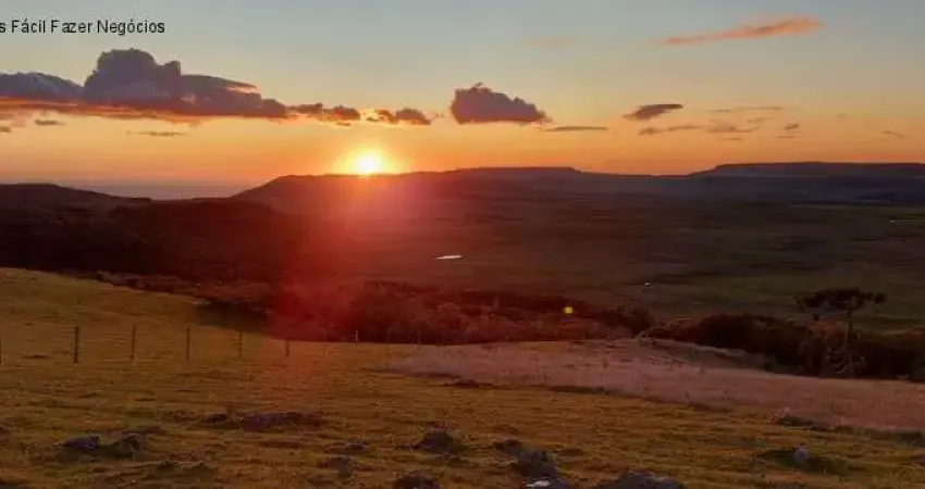 Fazenda com 2 salas à venda na Estrada municipal Cambará/ Timbé do Sul, 4600, Vila Santana, Cambará do Sul