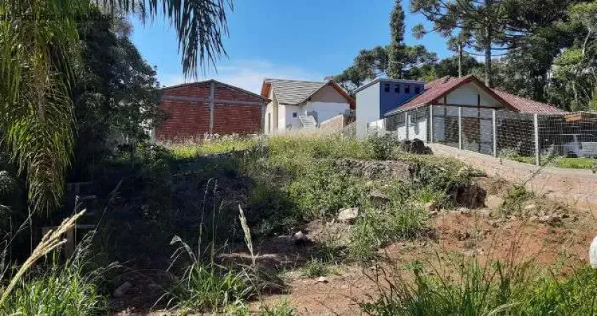 Terreno à venda na Vila Germania, Nova Petrópolis 