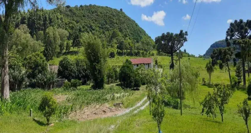 Chácara / sítio com 4 quartos à venda na Rua Jacó Birk, 2970, Pinhal Alto, Nova Petrópolis