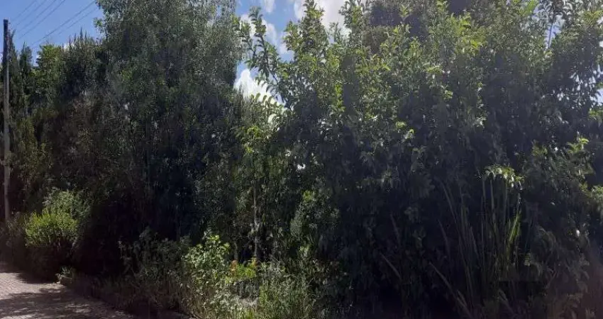 Terreno à venda na Vila Olinda, Nova Petrópolis