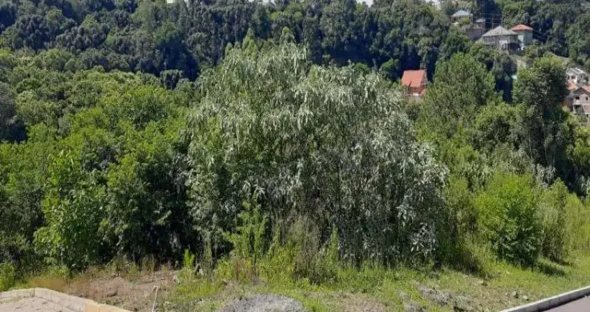 Terreno comercial à venda na Av. Padre Afonso Theobald, Logradouro, Nova Petrópolis