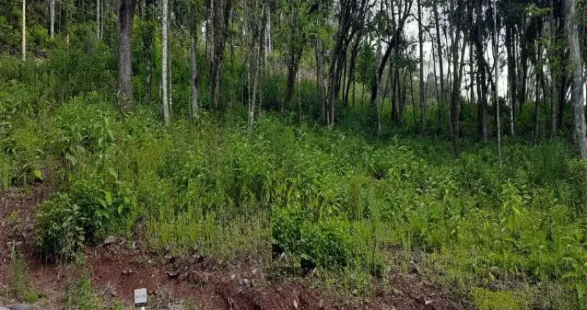 Terreno à venda no Linha Imperial, Nova Petrópolis