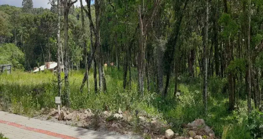Terreno à venda no Linha Imperial, Nova Petrópolis 