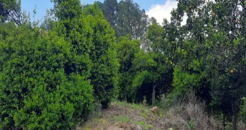 Terreno à venda no Logradouro, Nova Petrópolis
