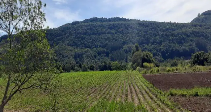 Terreno à venda no Linha Temerária, Nova Petrópolis