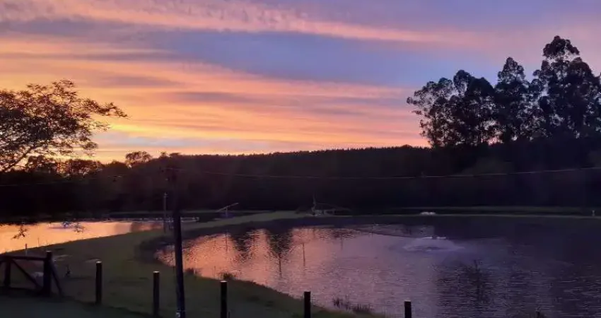 Chácara / sítio com 6 quartos à venda no Industrial, Sapiranga