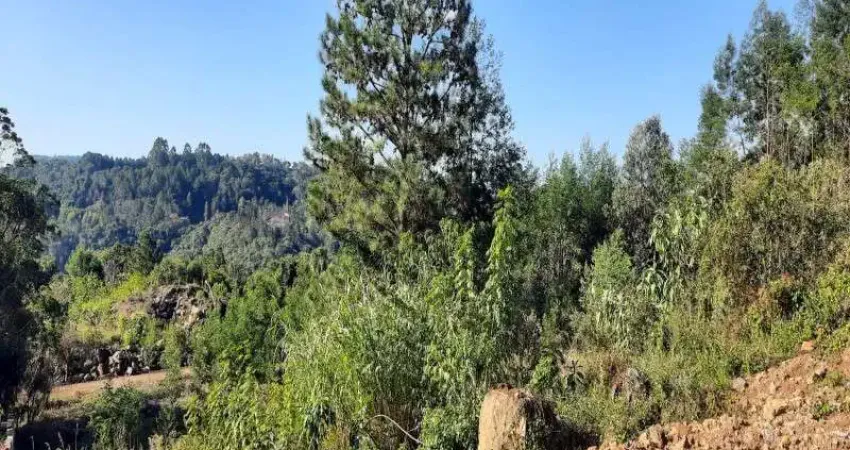 Terreno à venda em Bavária, Nova Petrópolis 