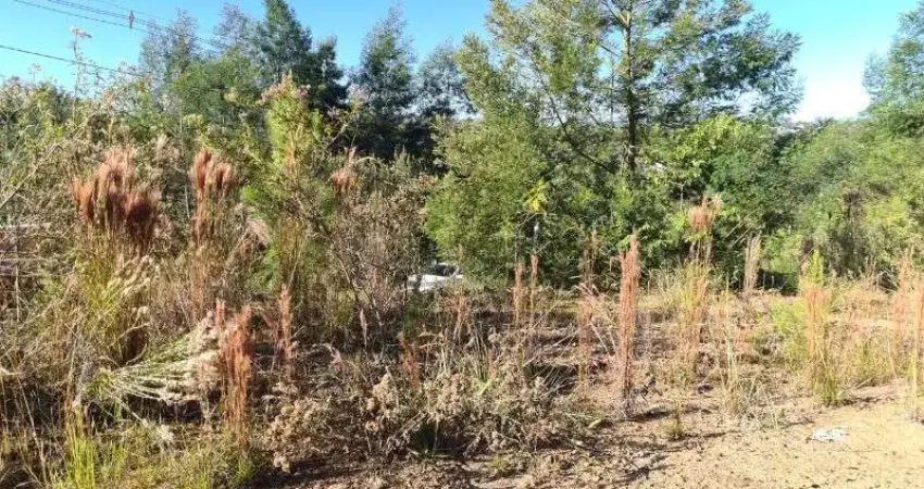 Terreno à venda em Bavária, Nova Petrópolis 