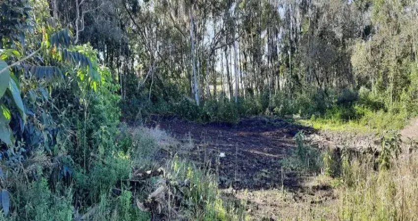 Terreno à venda no Linha Imperial, Nova Petrópolis