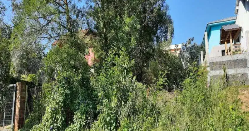 Terreno à venda no Vale Verde, Nova Petrópolis