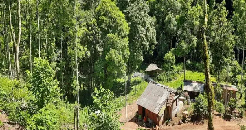 Chácara / sítio com 2 quartos à venda na Linha Pirajá Baixa, Nova Petrópolis 