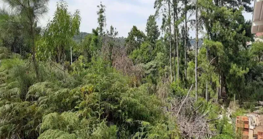 Terreno à venda no Linha Imperial, Nova Petrópolis